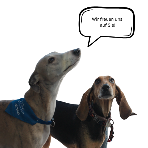 Wir freuen uns auf dich!